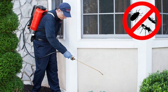 Yahşihan Tahtakurusu İlaçlama böcek ilaçlama ve haşere kontrolü — ilaclama-tr.com